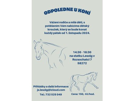 Kroužek u koní